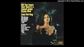 Lana Del Rey - Let the Light In (Official Instrumental)