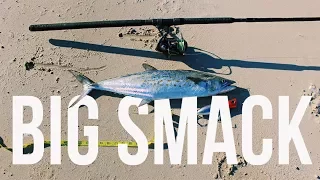 Surf fishing for PB Breaking Spanish Mackerel!