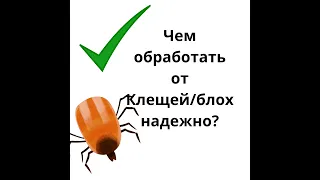 чем обработать собаку от клещей и от блох?