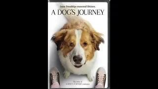 Opening To A Dog's Journey 2019 DVD