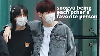 soogyu being each other's favorite person