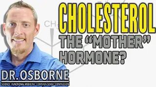 Stop Trying To Lower Your Cholesterol - It Helps Balance Your Hormones