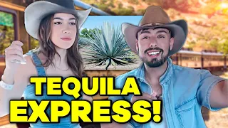 Tequila Jalisco Vlog Jose Cuervo Express