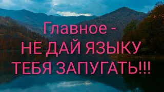 Азербайджанский язык. 5 урок. Множественное число.