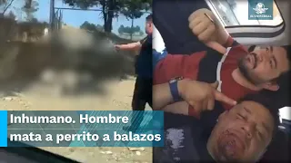 Asesina a un lomito a balazos, ya lo buscan y se exige justicia