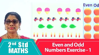 2nd Std Maths | Even and Odd Numbers Exercise - 1 |  Mathematics Class -2 | Maths Part-158