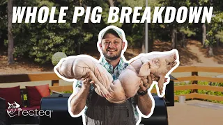 Whole Suckling Pig Breakdown #bbq #recteq #bbqlovers #grilling
