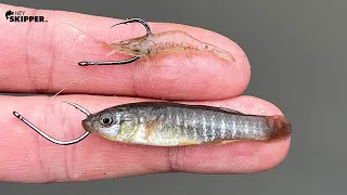 Using TINY LIVE BAIT! Tiny Minnows VS Micro Shrimps