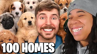 SimbaThaGod Reacts To MrBeast - I Rescued 100 Abandoned Dogs!