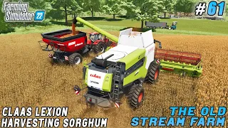 Harvesting sorghum with CLAAS LEXION 5500 combine | The Old Stream Farm | FS 22 | Timelapse #61