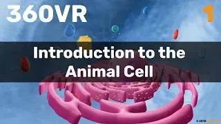 Chapter 1: Introduction to the Animal Cell