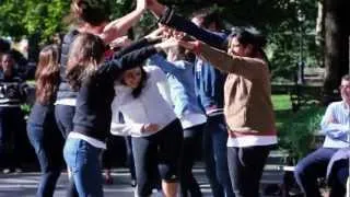 #carlandjeff - Flash Mob Proposal in Madison Square Park, NYC [OFFICIAL]