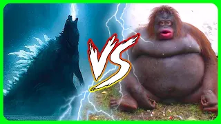 Godzilla vs Kong explained by an idiot