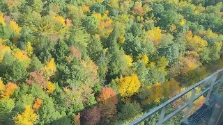 Hometown High Bridge - R&N 2022 Fall Foliage Train Ride