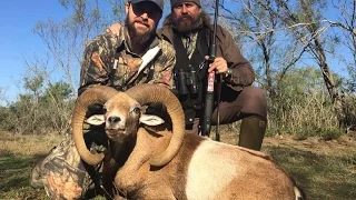 Red Sheep, Whitetail & Free Range Aoudad Hunt with Grateful Nation TV & Cpl Salisbury