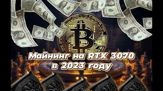 МАЙНИНГ В ОКТЯБРЕ 2023 ГОДА. ОКУПАЕМОСТЬ В МАЙНИНГЕ НА ВИДЕОКАРТАХ RTX 3070/3080 В 2023 ГОДУ