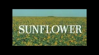 Henry Mancini　GIOVANNA from ”SUNFLOWER"　ジョヴァンナのテーマ 　ひまわり　ヘンリー・マンシーニ