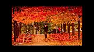 Four Seasons Vivaldi - 10 Hours - Relaxing Classical Music For Studying, Concentration And Sleeping