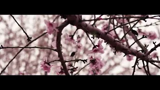 Adda - Nu Plange Ana (Official Video)
