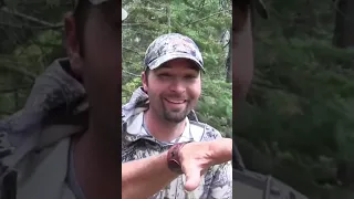 Unbelievable Encounter Elk Hunters Encounter Bigfoot Live footage