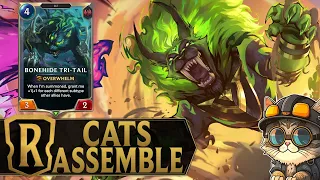 New Expansion With New Cat Deck - Nidalee & Neeko Deck - Legends of Runeterra Early Access