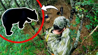 BIG BEAR With a Bow | New Hampshire Bear Hunt