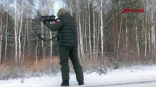 Большая загонная охота на лося в Калужской области