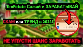 ОБЗОР TonPotato | ЗАРАБОТОК в ТЕЛЕГРАММ | Новая Ферма| РОЗЫГРЫШ | УСПЕЙ ЗАРАБОТАТЬ | ХАЙП на TON