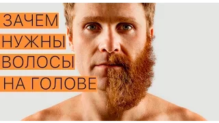 ЗАЧЕМ НАМ ВОЛОСЫ НА ГОЛОВЕ ?