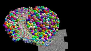 Scientists complete first map of an insect brain