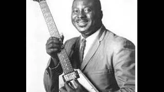 ALBERT KING Grant Park, Chicago Blues Festival. 1988