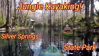 New Cargo Conversion Trailer Build Getting Closer/Jungle Kayaking At Silver Springs State Park
