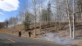 Mill City Prescribed Fire Project