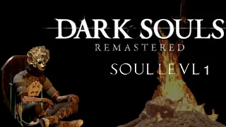 Beating Dark souls remastered at souls level 1