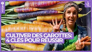 Cultiver des carottes : les 4 clés pour réussir | Jardins et Loisirs