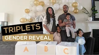 TRIPLETS GENDER REVEAL | This Byrds Nest