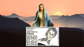 A missing little girl saved by a Marian apparition