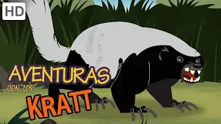 Aventuras con los Kratt - Animales Similares | Videos para Niños