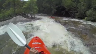 Crocodile kayaker- How many people have been killed by alligators?