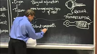 Types of Organisms, Cell Composition, excerpt 1 | MIT 7.01SC Fundamentals of Biology