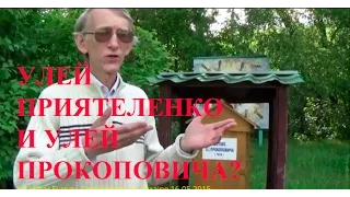 Улей Приятеленко и Улей Прокоповича: Чей Лучше? Kiev, Ukraine