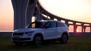 Инструкция по применению присадки "Amortect PROOF" в моторе и топливной системе - Skoda Kodiaq