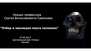 Лекция С.В. Савельева "Отбор и эволюция мозга"