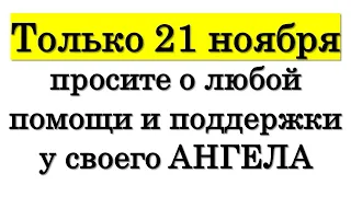 Только 21 ноября попросите о любой помощи и поддержки у своего ангела хранителя