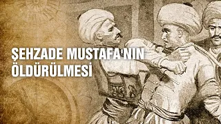 Kanuni Sultan Süleyman'ın Oğlu Şehzade Mustafa Neden Öldürüldü? - Tarihte Yürüyen Adam
