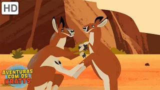 Criaturas do deserto | Cangurus, cobras + mais! [episódios completos] Aventuras com os Kratts