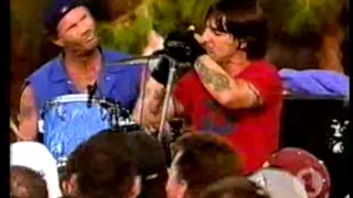 Red Hot Chili Peppers - The Zephyr Song [Live, VH1 BBQ - USA, 2002]