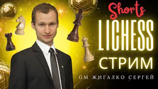 ИГРА с ПОДПИСЧИКАМИ + Турнир МАТВЕЯ ГАЛЬЧЕНКО!! Шахматы & Сергей Жигалко. На Lichess.org #shorts