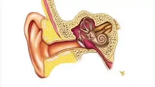 Meniere's Disease - WVU Medicine Health Report