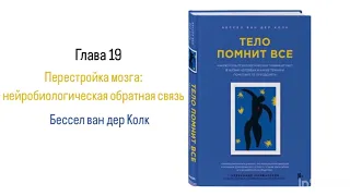 ТЕЛО ПОМНИТ ВСЕ. Глава 19. Перестройка мозга: нейробиологическая обратная связь